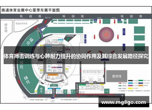 体育搏击训练与心肺耐力提升的协同作用及其综合发展路径探究