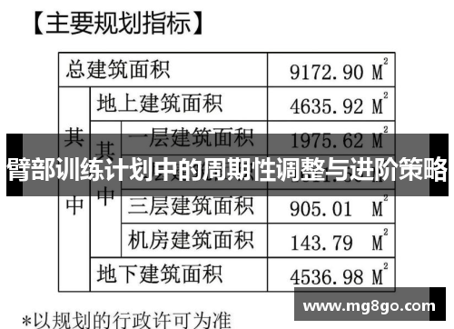 臂部训练计划中的周期性调整与进阶策略